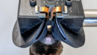 MouseGoggles: Tracking Neural Activity Through VR