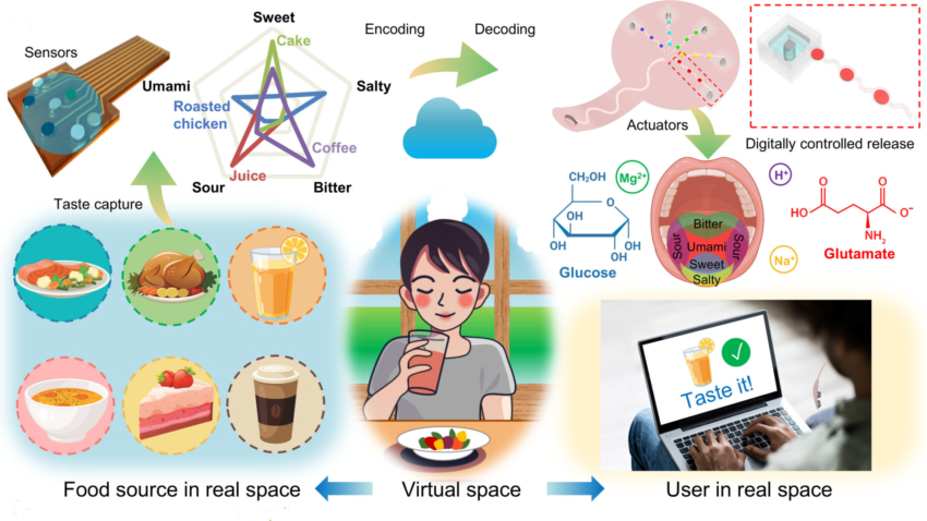 Virtual Reality’s “Electronic Tongue”