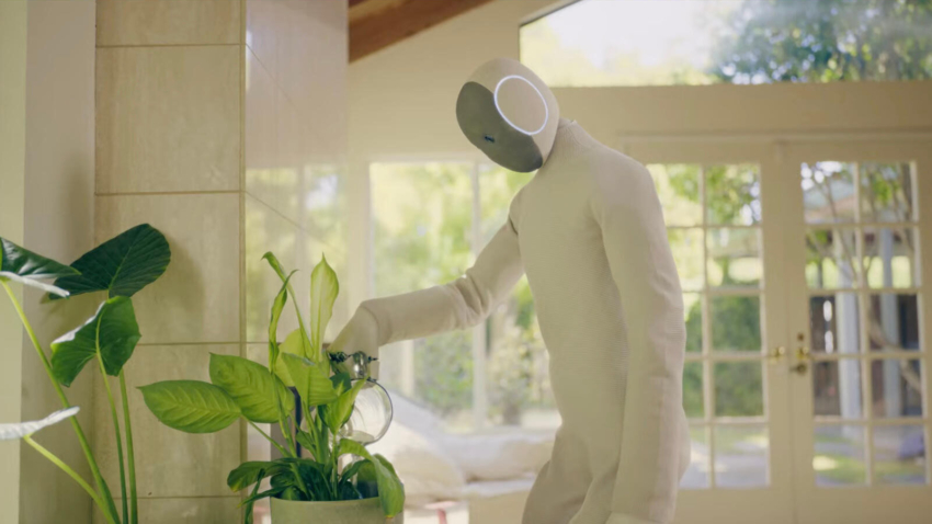 Teleoperated Domestic Robot