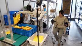 VR-Equipped Humans Train Robots