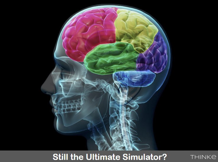 human brain as a simulator