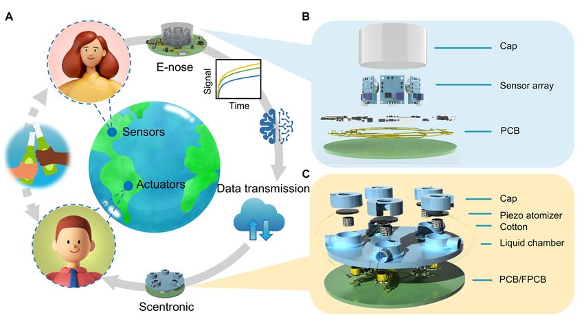 Virtual Worlds Gain Missing Sense